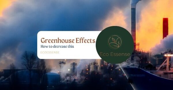 Greenhouse Effect | EcoEssense