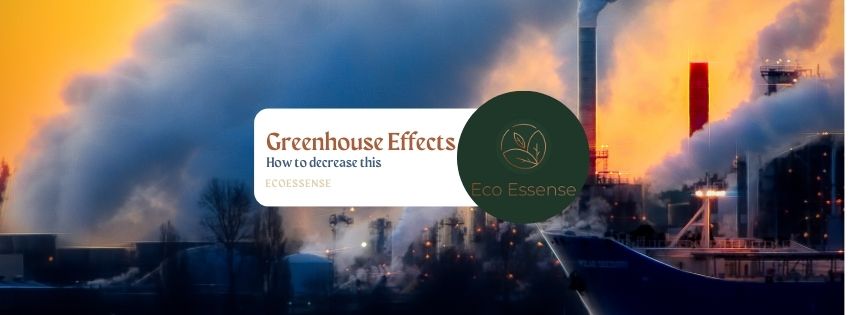 Greenhouse Effect | EcoEssense