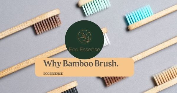 Why Bamboo Brush and where will it help | EcoEssense.