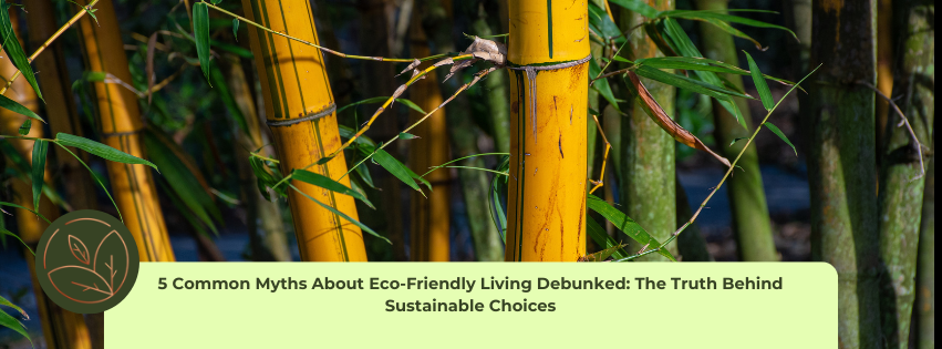 EcoEssense - 5 Common Myths About Eco-Friendly Living Debunked: The Truth Behind Sustainable Choices