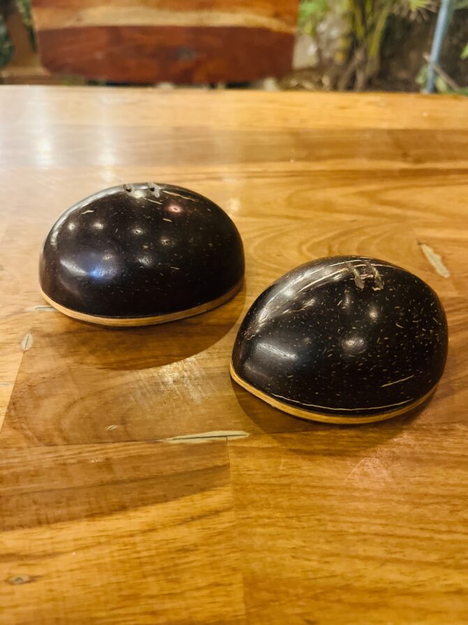 Coconut Shell Salt & Pepper Shaker