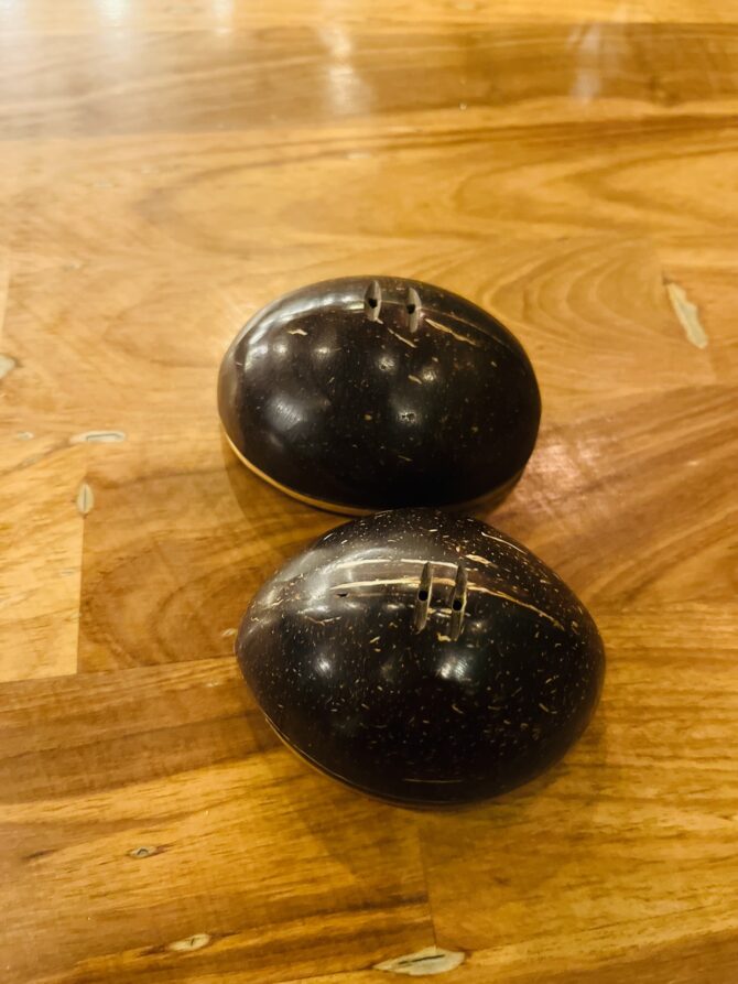 Coconut Shell Salt & Pepper Shaker