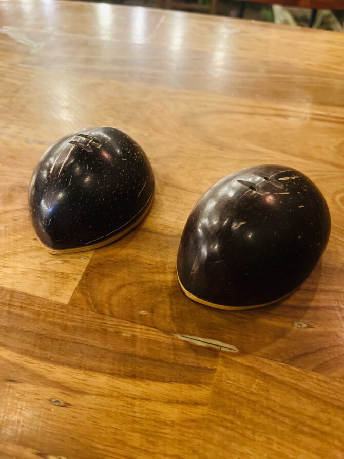 Coconut Shell Salt & Pepper Shaker