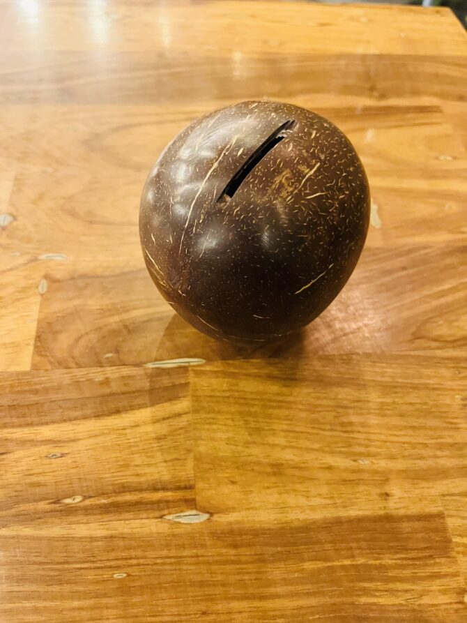 Coconut Shell Piggy Bank