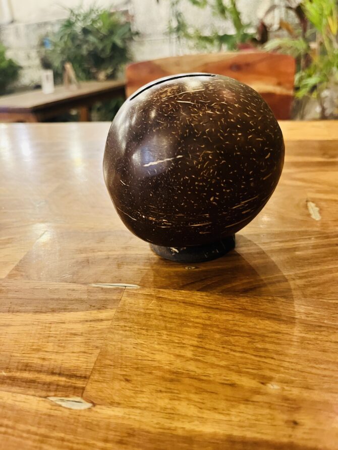 Coconut Shell Piggy Bank