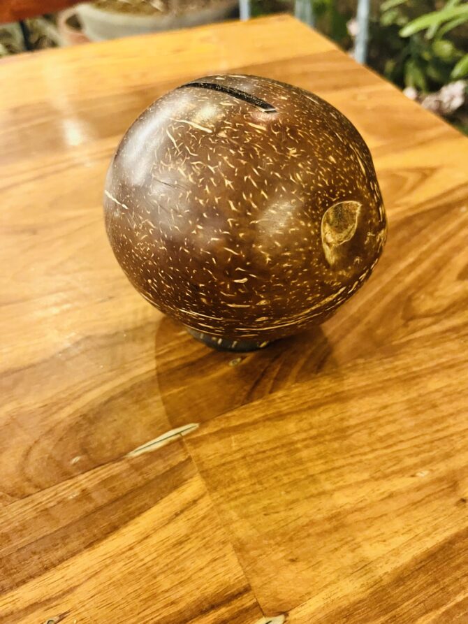 Coconut Shell Piggy Bank