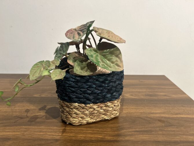 Handcrafted sabai grass Planter