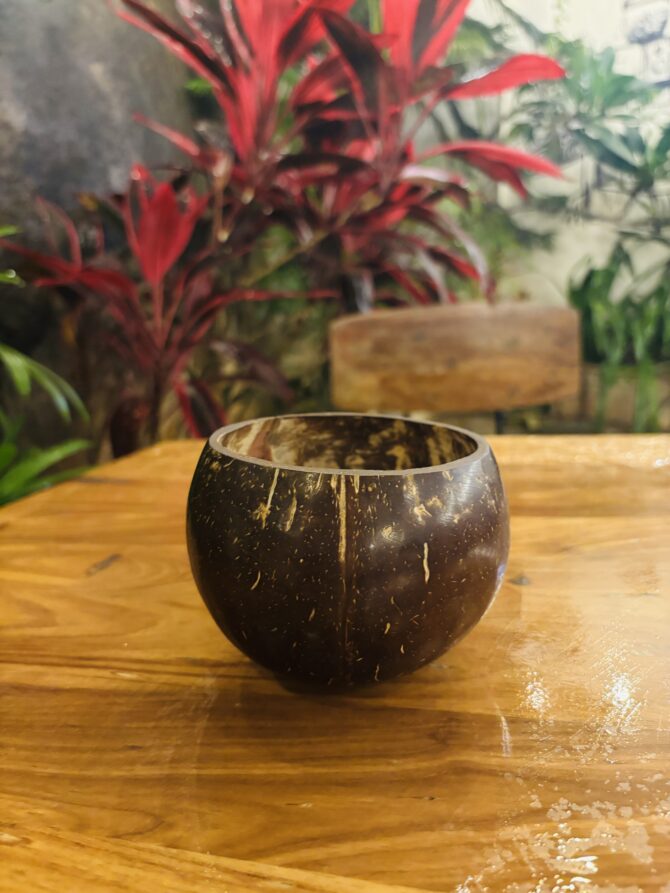 Coconut Shell | EcoEssense