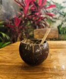 Coconut Shell | EcoEssense