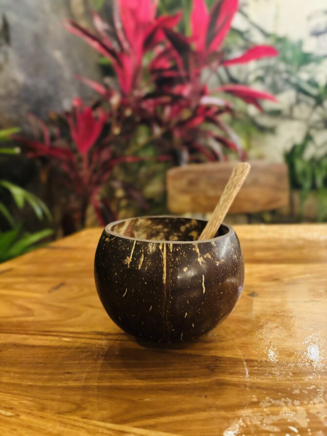 Coconut Shell | EcoEssense