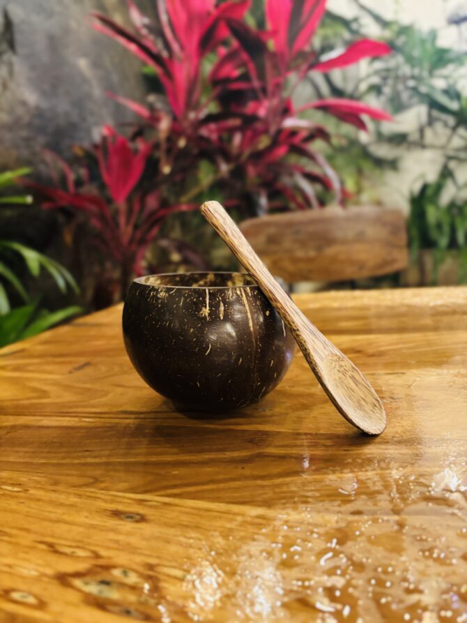 Coconut Shell | EcoEssense