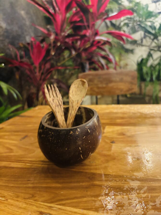 Coconut Shell | Bamboo cutlery | EcoEssense