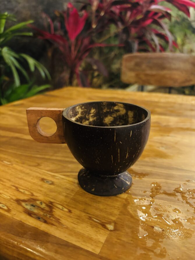 Coconut Coffee Cup | EcoEssense