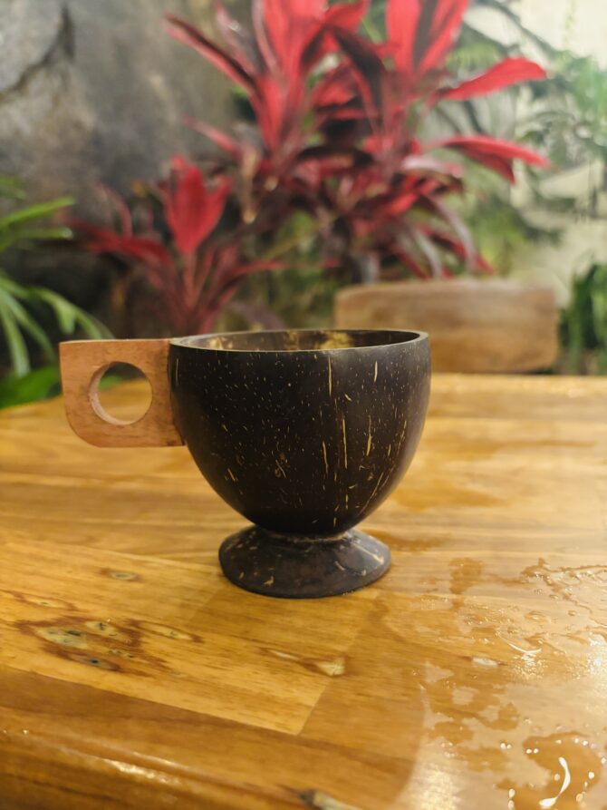 Coconut Coffee Cup | EcoEssense