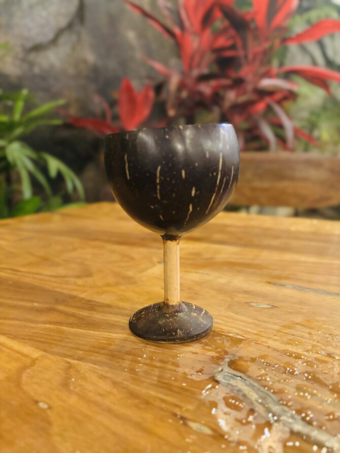 Coconut Shell Wine Glass | EcoEssense