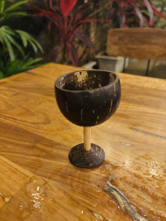 Coconut Wine Glass | EcoEssense