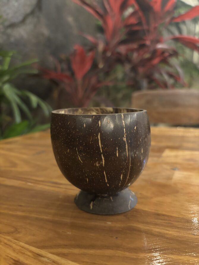 Coconut Shell | EcoEssense