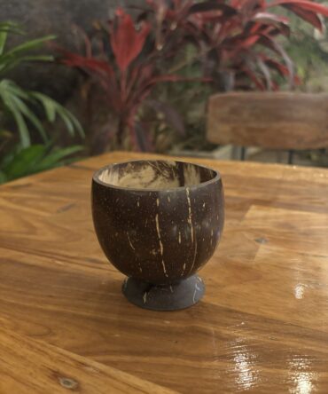 Coconut Shell | EcoEssense