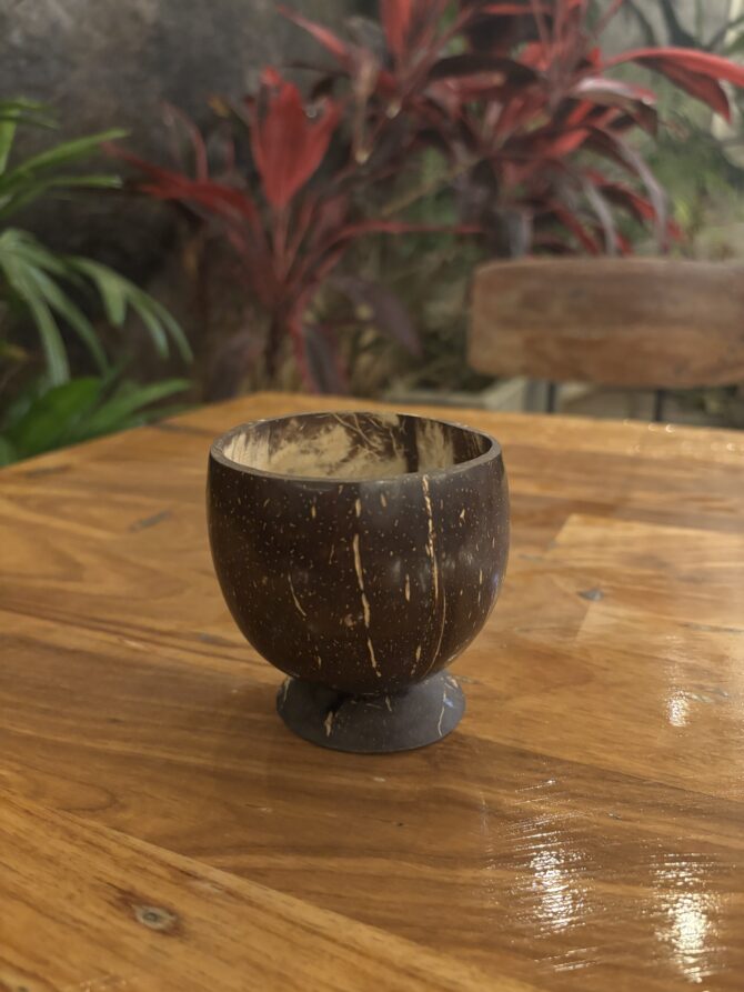 Coconut Shell | EcoEssense