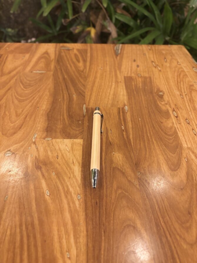 Bamboo Pen