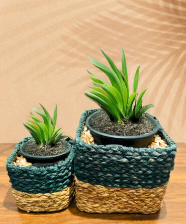 Handmade Sabai Grass Planters – Green Color