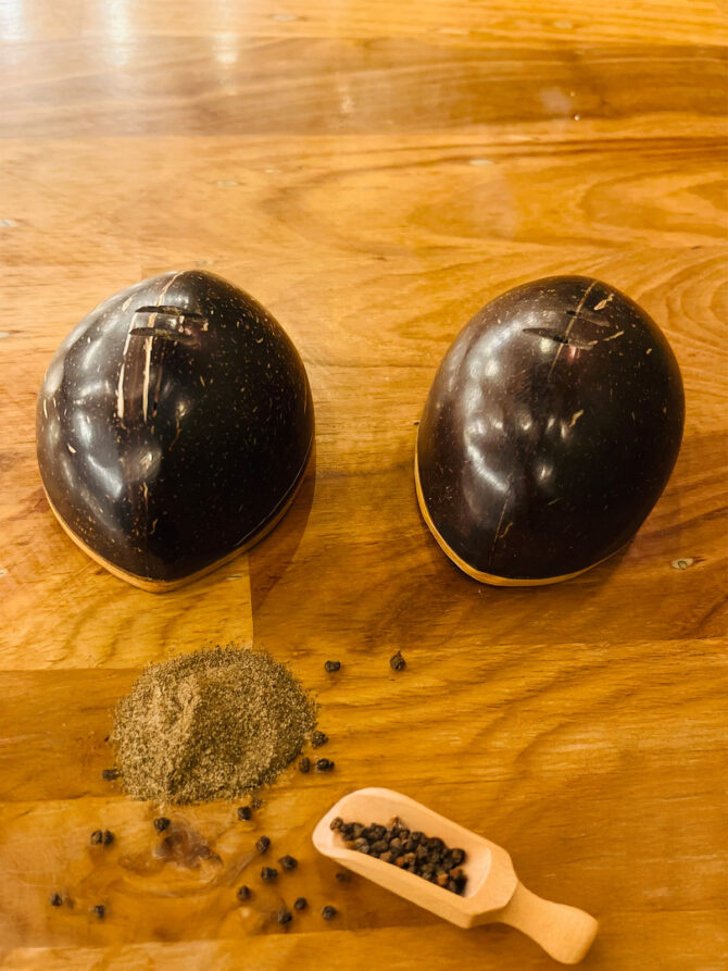 Coconut Shell Salt & Pepper Shaker