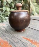 Coconut Shell Bowl with Lid