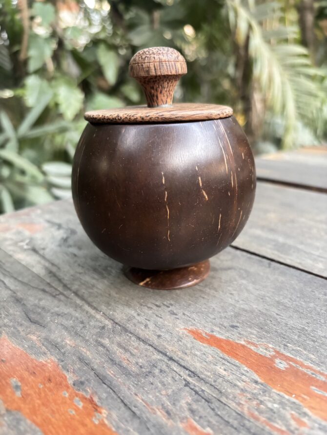 Coconut Shell Bowl with Lid