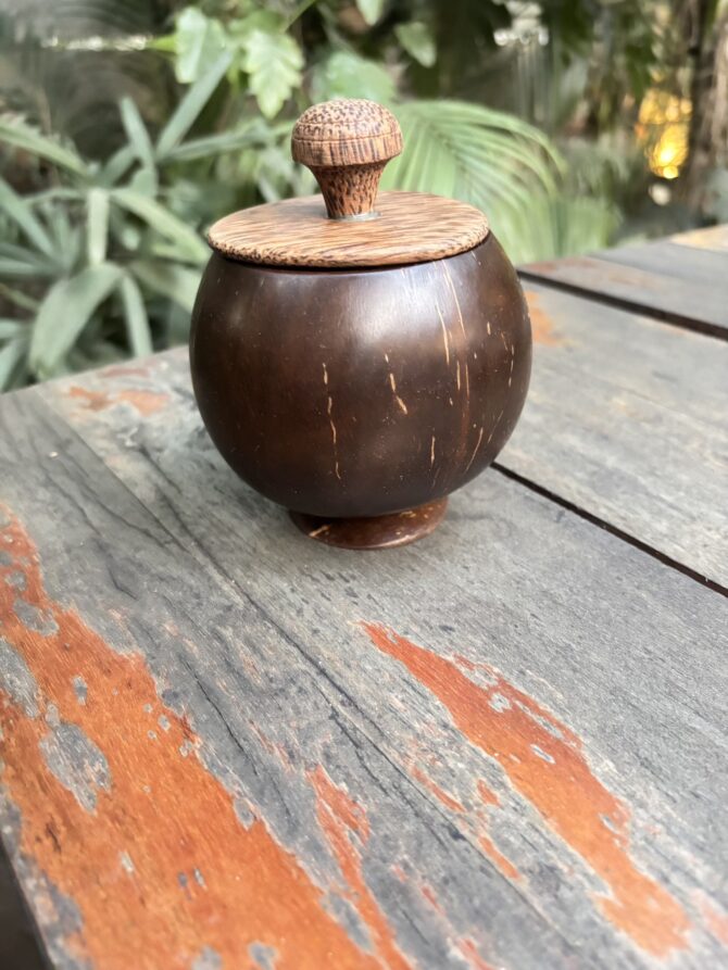 Coconut Shell Bowl with Lid