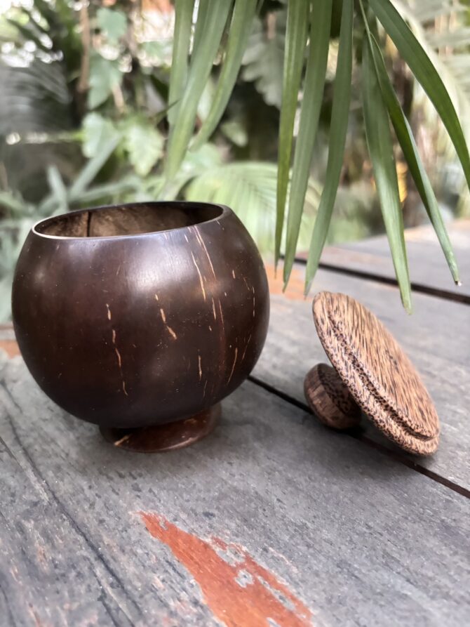 Coconut Shell Bowl with Lid