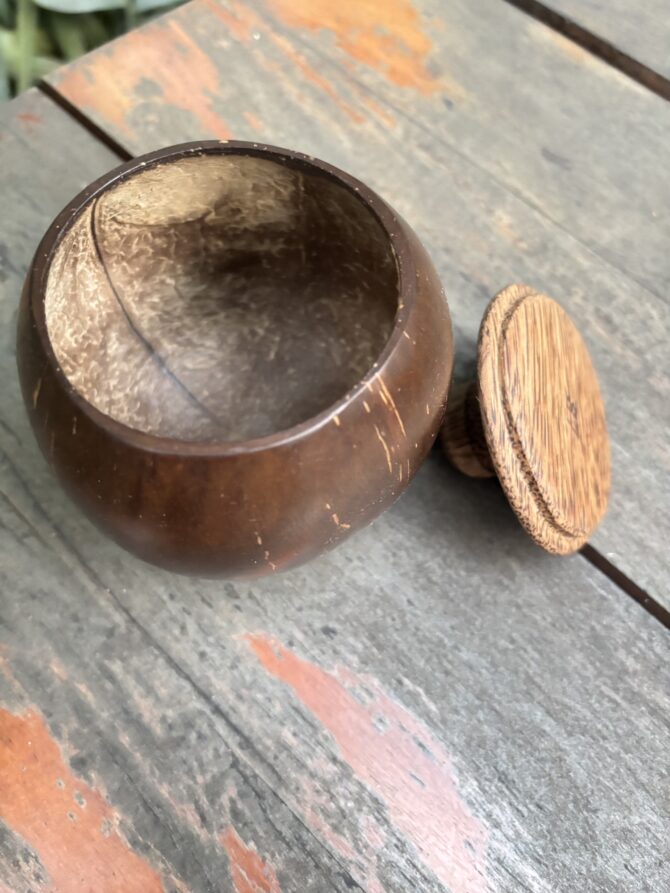 Coconut Shell Bowl with Lid