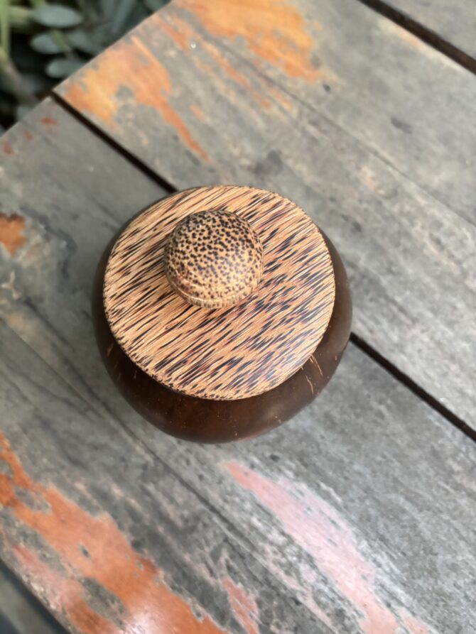 Coconut Shell Bowl with Lid