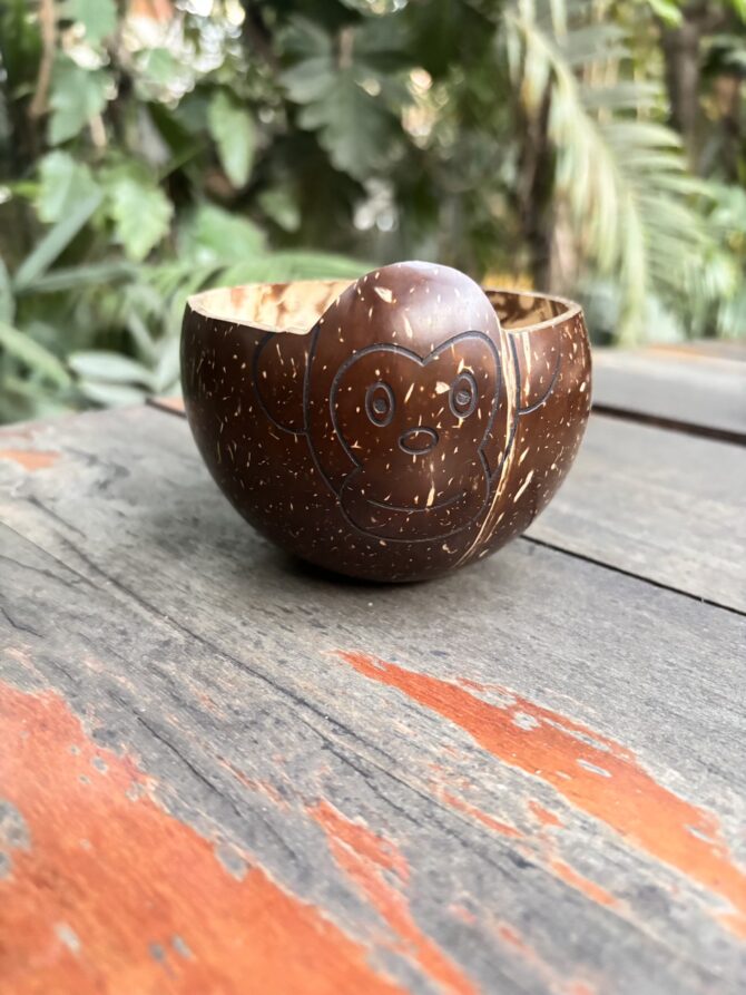 Coconut Shell Monkey Bowl