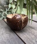 Coconut Shell Monkey Bowl