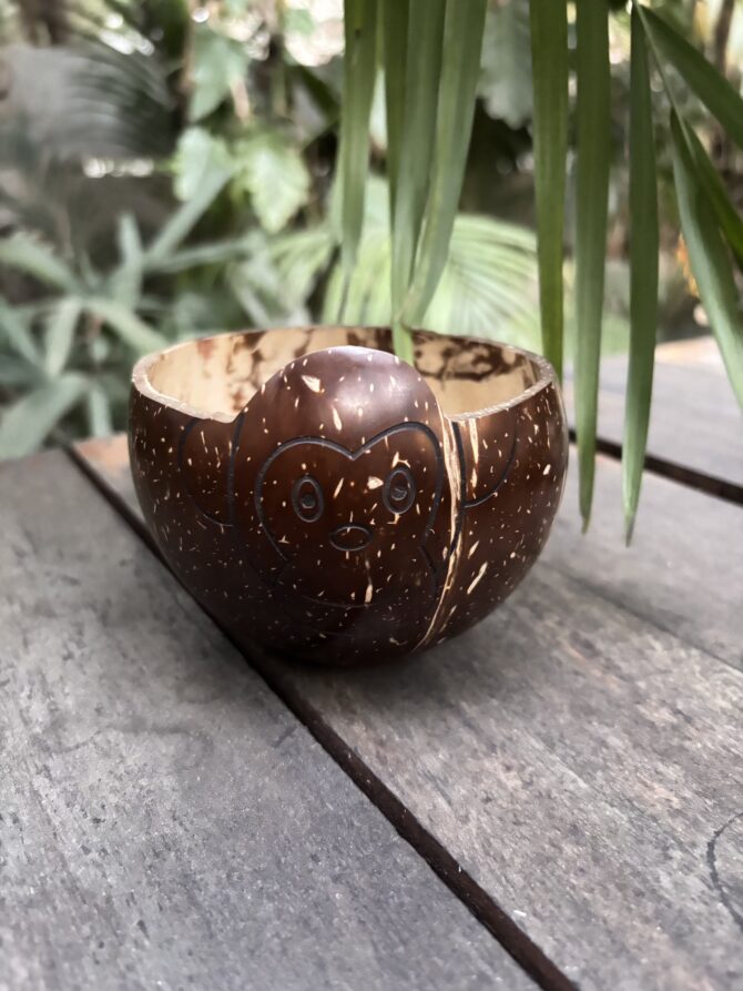 Coconut Shell Monkey Bowl