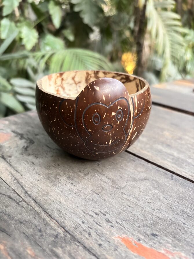 Coconut Shell Monkey Bowl