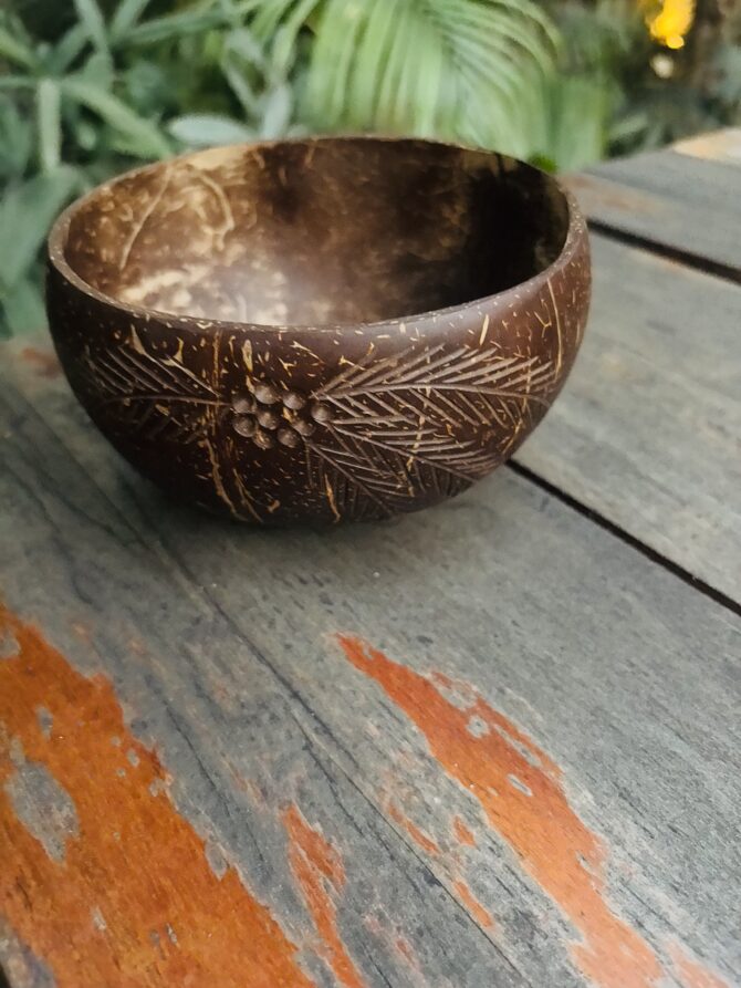 Palm Leaf Jumbo Coconut Bowl - 900ML