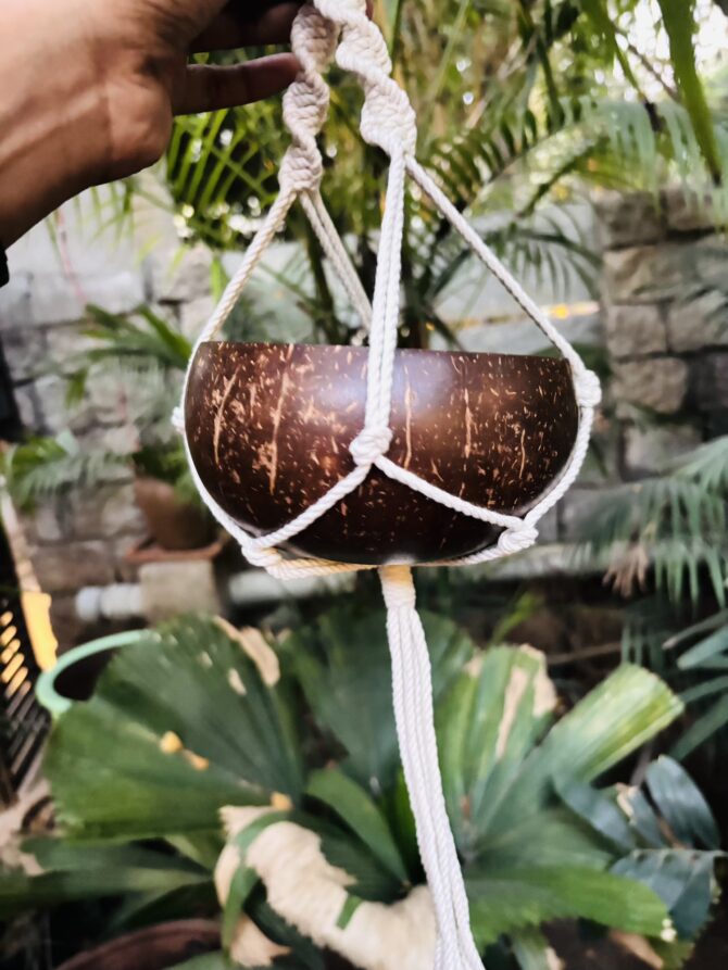 Coconut Shell Hanging Planter