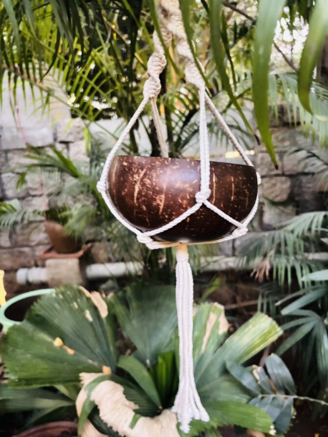 Coconut Shell Hanging Planter