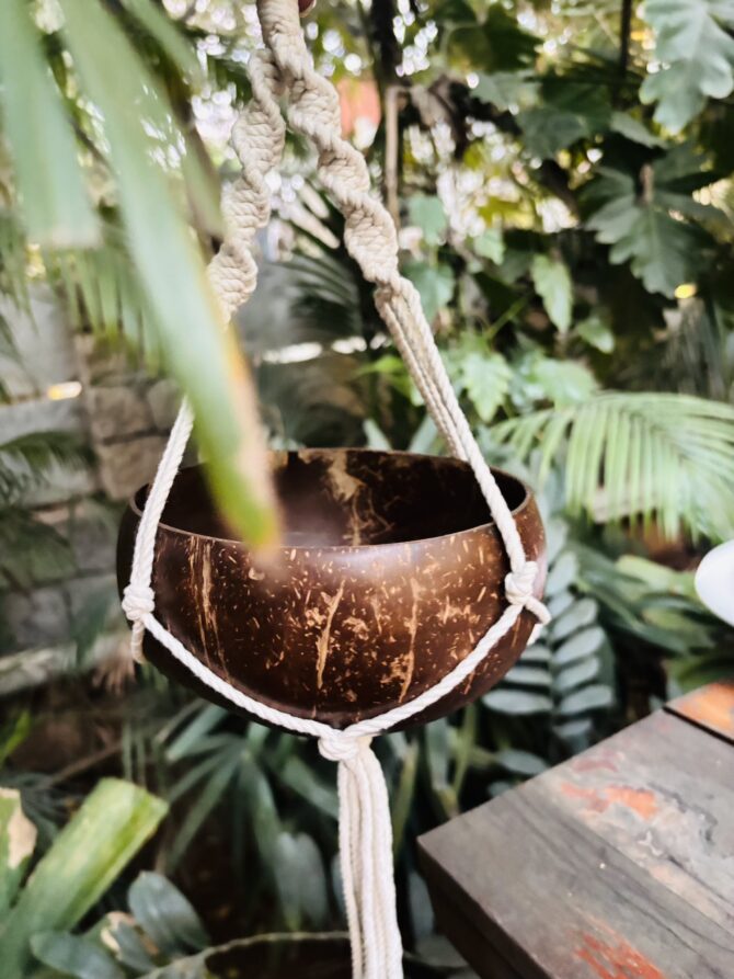 Coconut Shell Hanging Planter