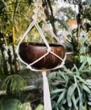 Coconut Shell Hanging Planter