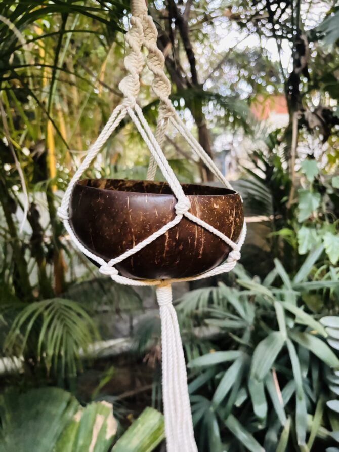 Coconut Shell Hanging Planter