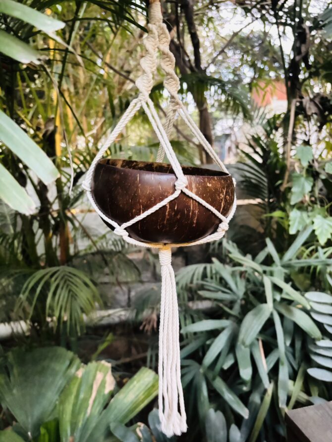 Coconut Shell Hanging Planter