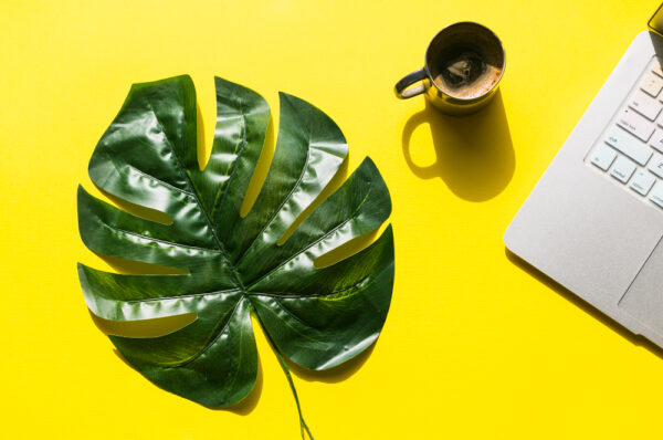 Eco-Friendly Products for Your Office: Sustainable Work Habits