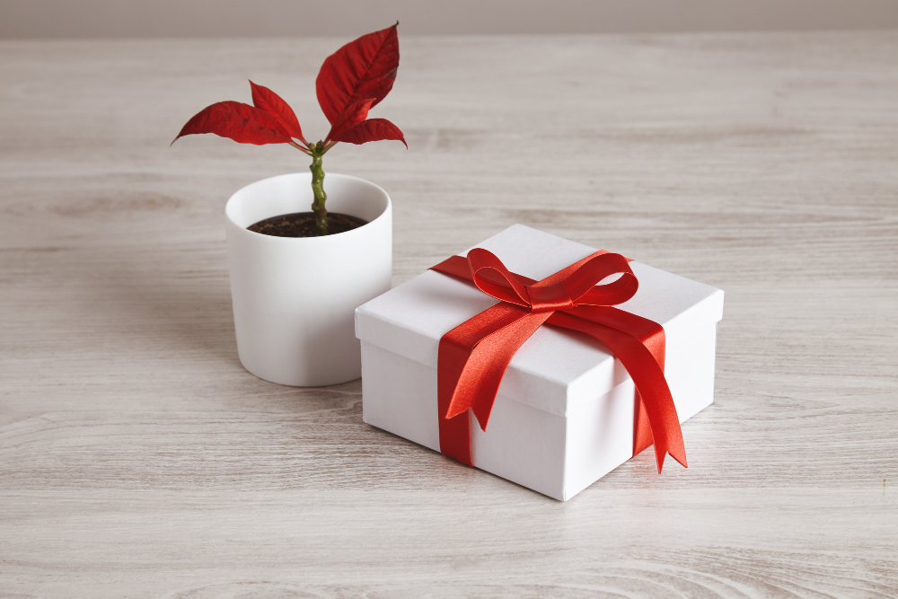 Eco-Friendly Gift Ideas for Special Occasions