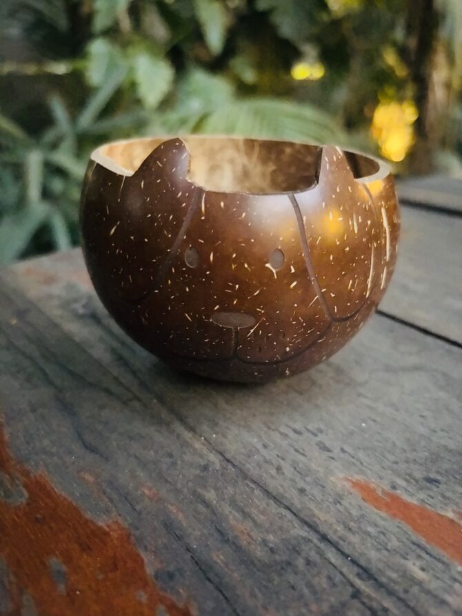 Coconut Shell Dog Bowl - Handcrafted & Sustainable