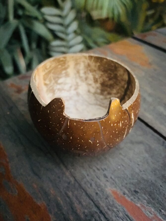 Coconut Shell Dog Bowl - Handcrafted & Sustainable