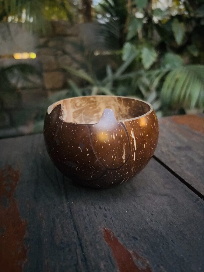 Coconut Shell Dog Bowl - Handcrafted & Sustainable