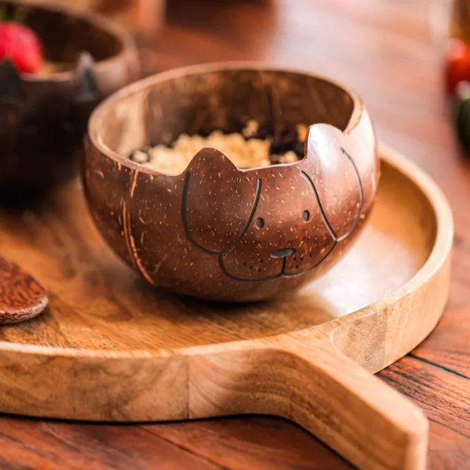 Coconut Shell Dog Bowl - Handcrafted & Sustainable